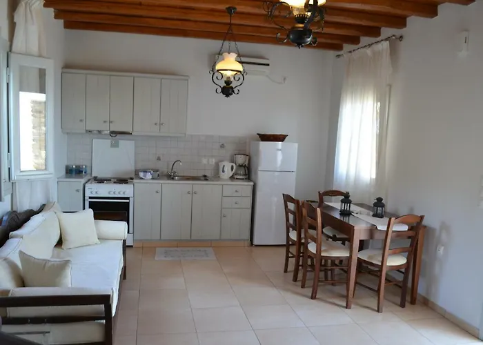 Ioanna Tinos Kır Evi Kionia